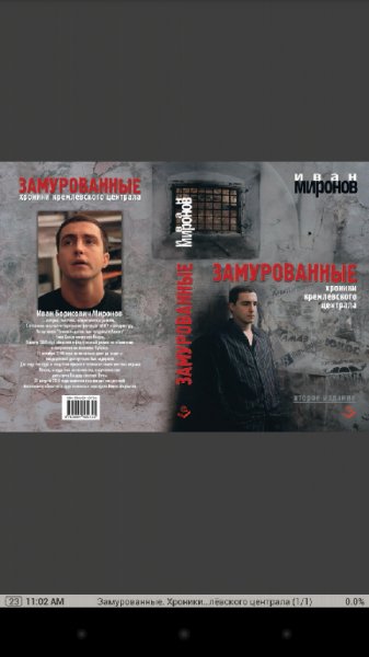 Иван Миронов. Замурованные. Хроники Кремлёвск