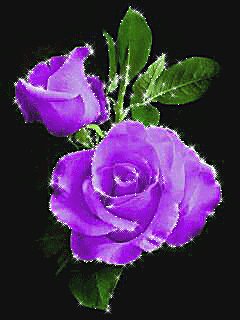 file_64199905