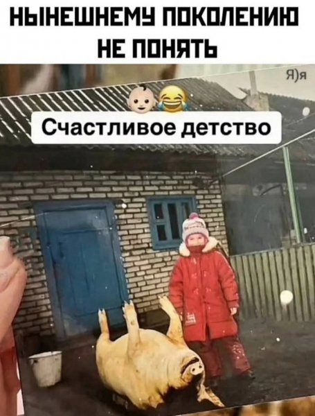IMG 20241223 062811
