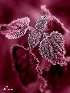 file_58952577