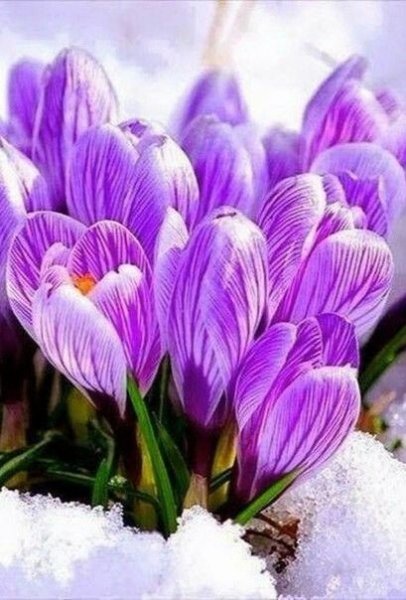 IMG-bf477f5a10d5c535fcb74f2ad79aec79-V