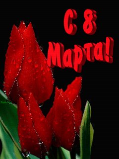 file_28306353