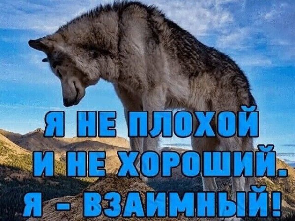 IMG 20250530 153820
