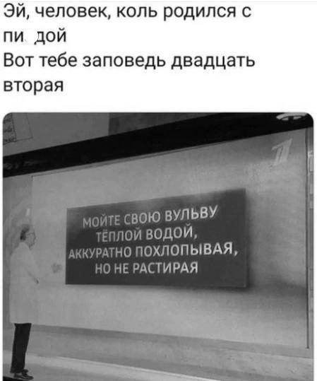 VHVVY7Jr6Gs