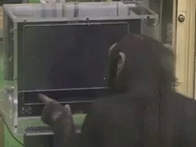 А Вы Успели Запомнить?