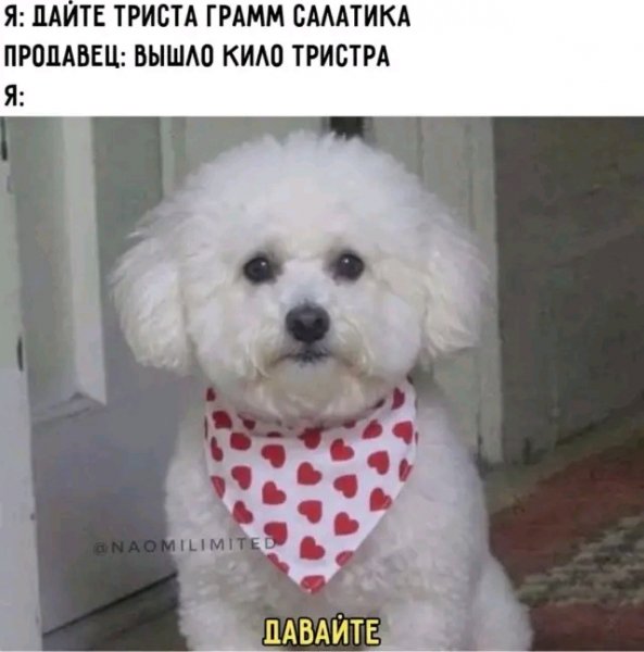 file_103238910