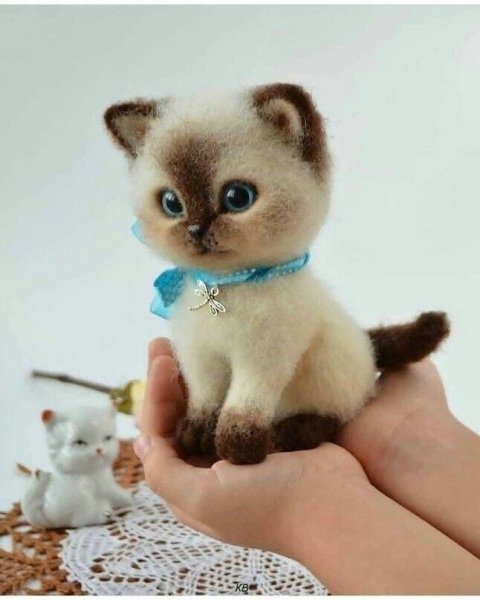 88c39b8170f347672bbaff18de6eb6c6