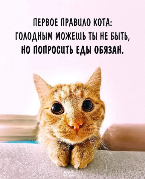 file_102607087
