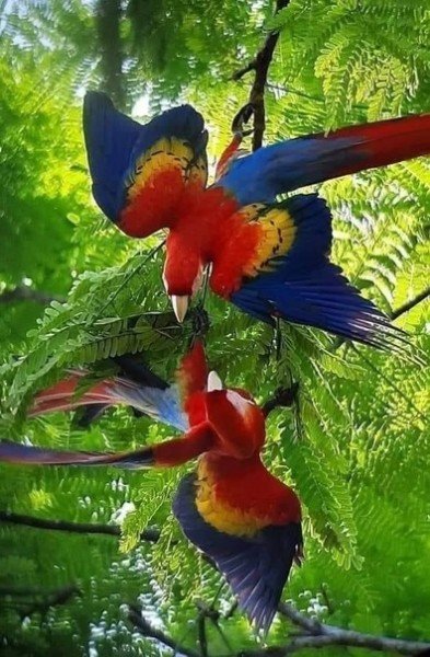 file_95630264