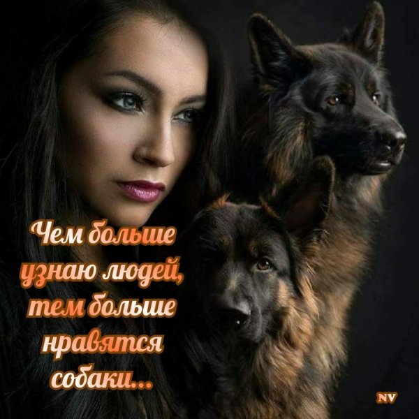 IMG 20211127 224029