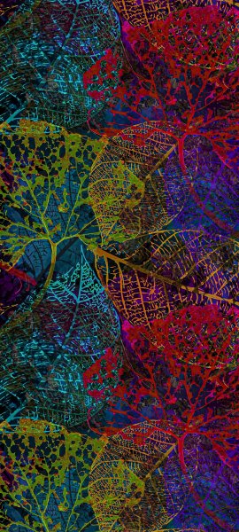 adapted 1080x2400 1753618681