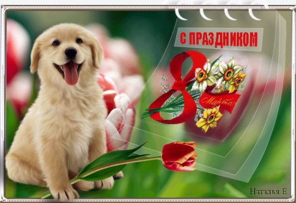 С 8 Марта!