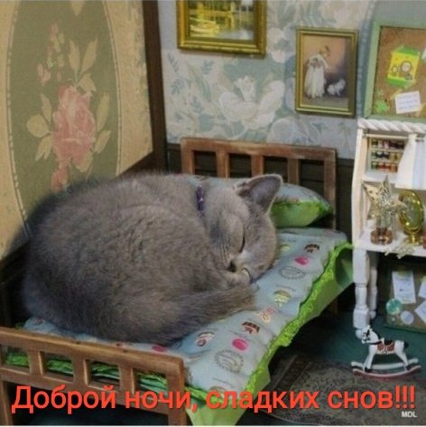 IMG 20190207 185602