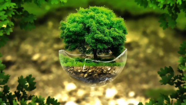 3 (964) (Copy) (Copy)