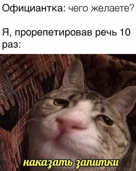 file_101512625