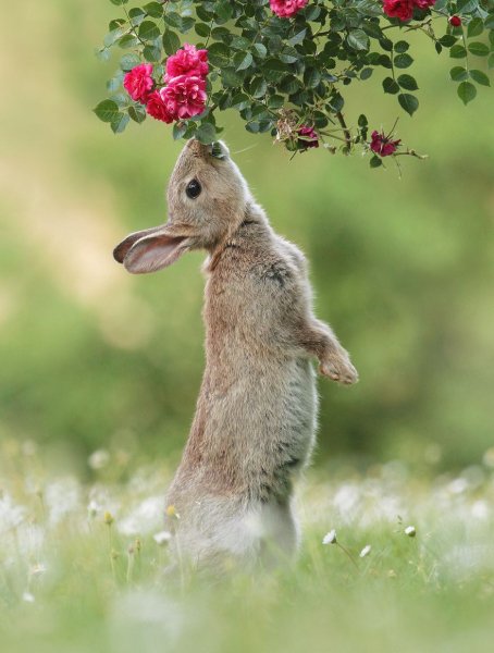Magical Moments (35 Pics)