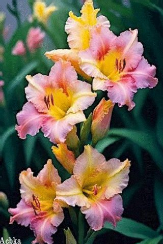 file_97102761