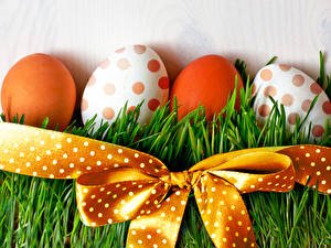 Easter Grass Eggs Bowknot 581889 300x225