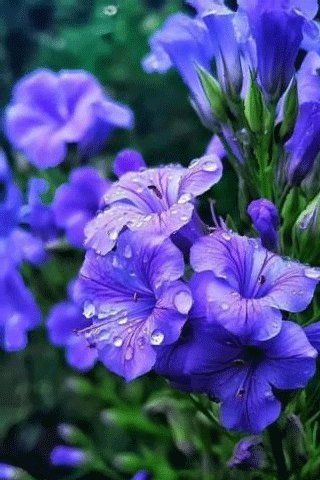 file_97252752