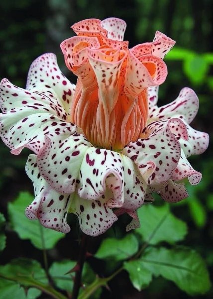 e7c765fa960c3c4448bd48c07f765