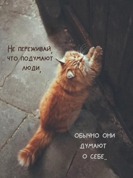 Люди скажут