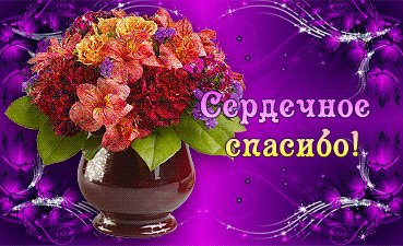 сердечное спасибо