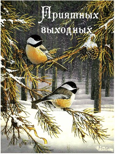 Анимированная открытка приятных выходных