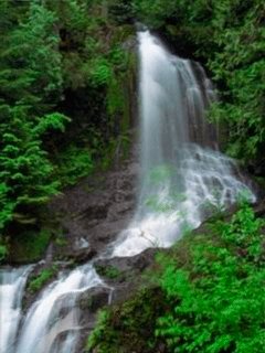 file_63946980