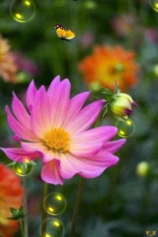 file_63166713