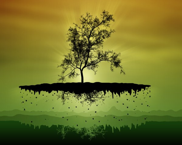 fon135 1600x1280