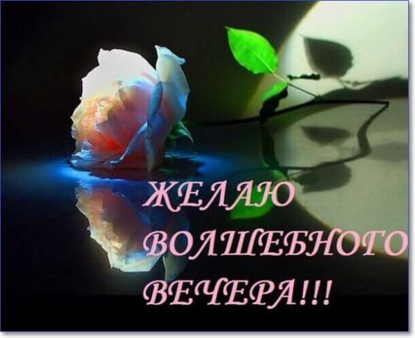 IMG 201215 970224