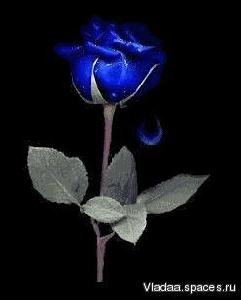 Красивые стихи и sms