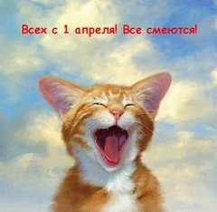 file_8335500