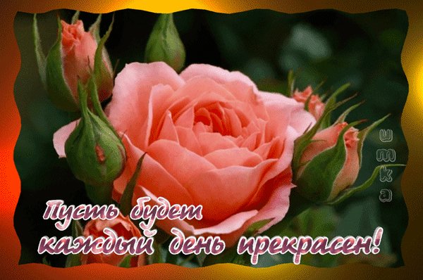 Анимированная открытка пусть будет каждый