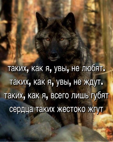Таких
