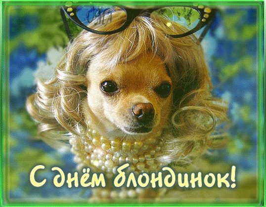 Анимированная открытка с днём блондинок (1)