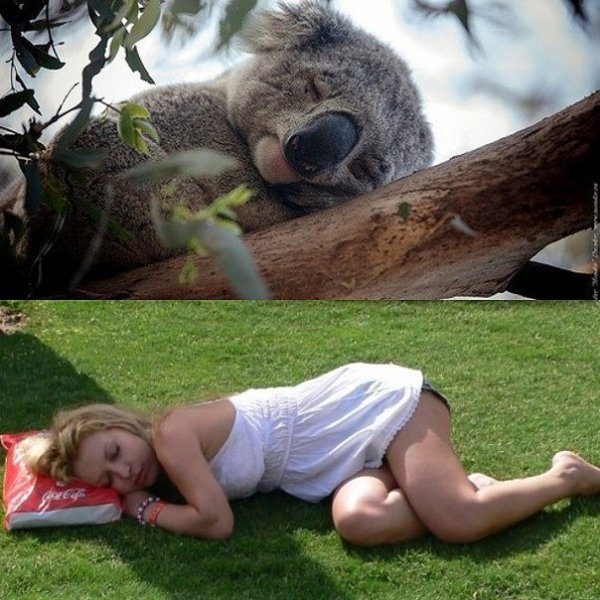 Лера Туманова