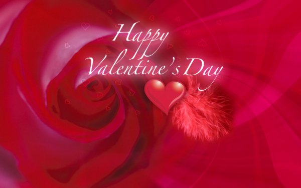 serdce-sad roz-rozovyj-den svyatogo valentina-krasnyj c