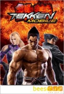 Tekken Mobile Samsung S5230W