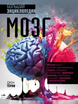 Мозг.Большая энциклопедия-2023.