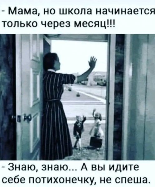 file_103146800