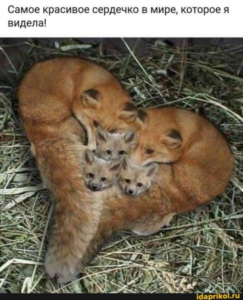 Сердечко!