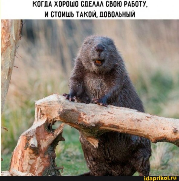 86c64793c3f60ffd20515ecc5ae751706251e2211e7 1