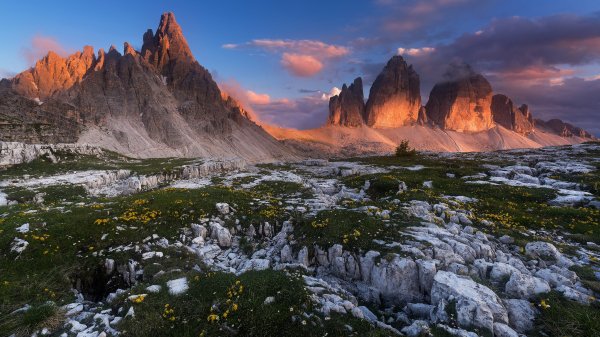 Gory-dolomity-italiia-alpy-vesna-tsvety-oduvanchiki-kamni-ve