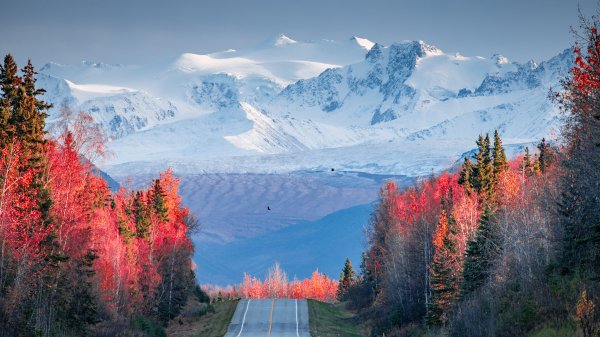 Gory-osen-nebo-ptitsy-vershiny-les-sneg-snezhnye-doroga-shos