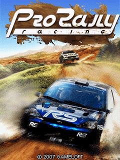 Pro rally racing