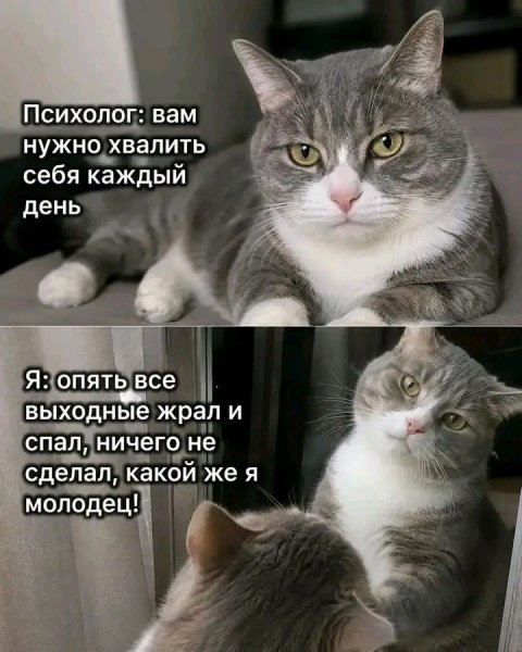 file_102862269