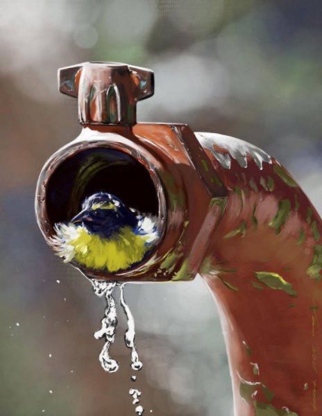 drain-bird