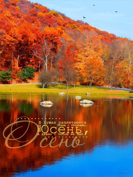 6a728c41ea3bfb8a10b2a2cdeffe044b