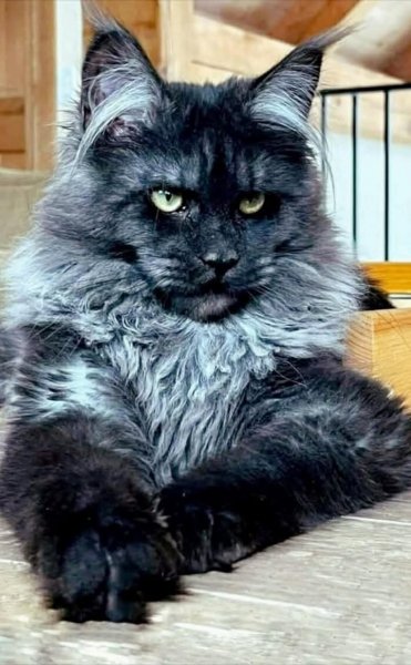 FB IMG 1754863011915